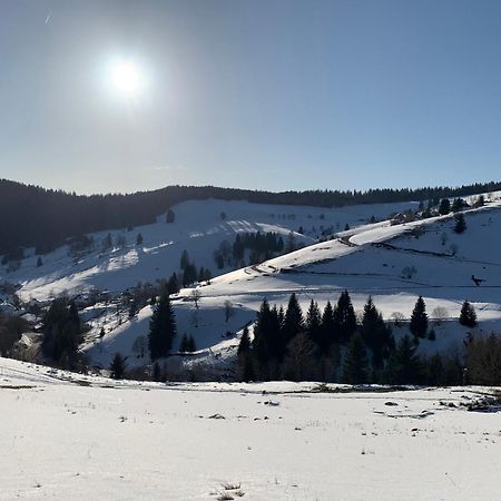 Haus Wiesenquelle, Deluxe-Apartment 'Feld & Berg' Feldberg  Εξωτερικό φωτογραφία