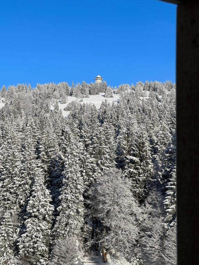 Haus Wiesenquelle, Deluxe-Apartment 'Feld & Berg' Feldberg  Εξωτερικό φωτογραφία