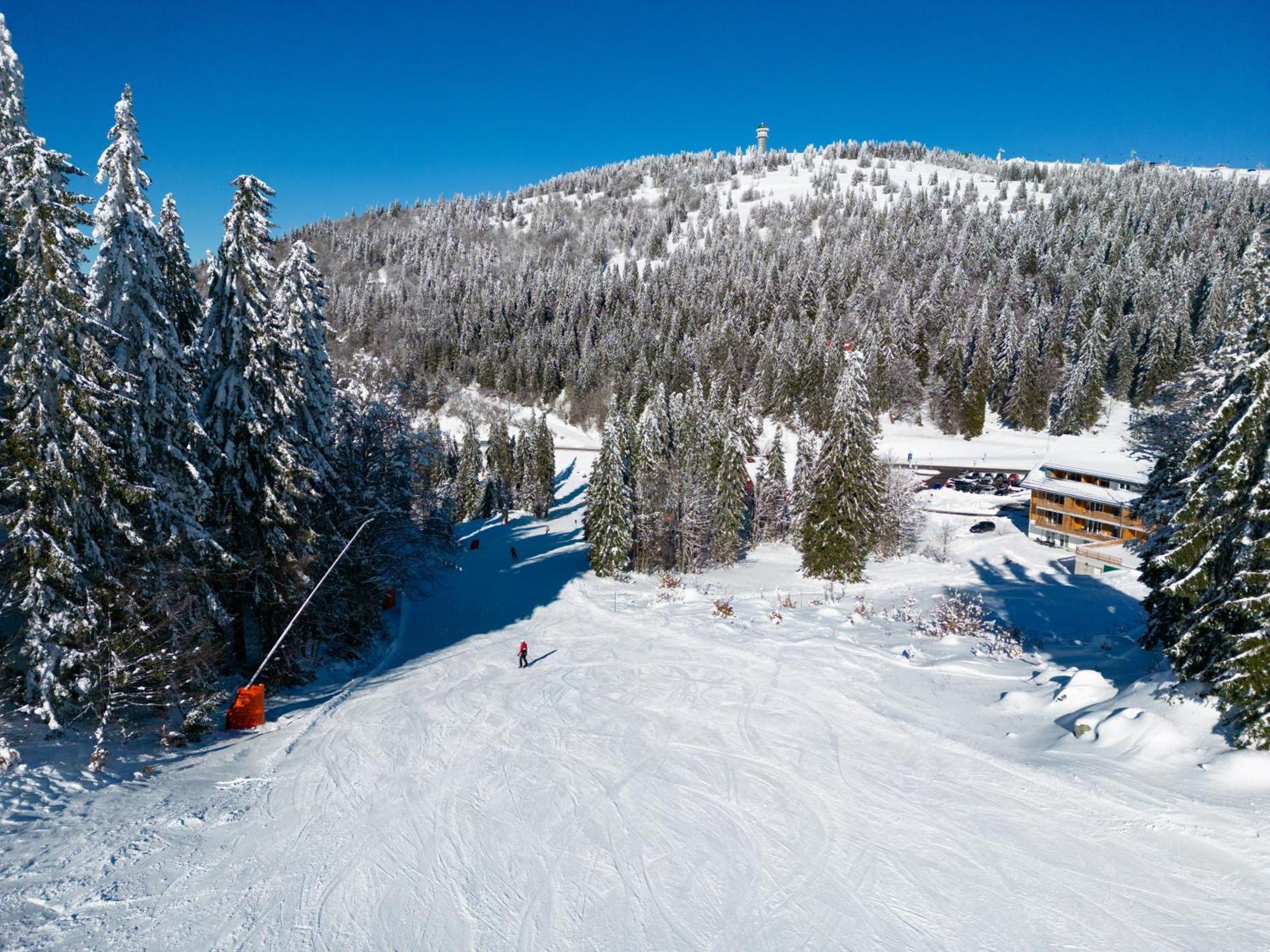 Haus Wiesenquelle, Deluxe-Apartment 'Feld & Berg' Feldberg  Εξωτερικό φωτογραφία
